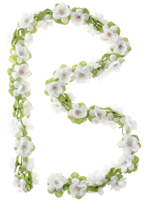 Bloemenstreng Basil Garland - wit